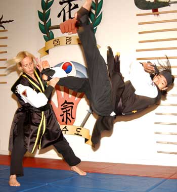 Hwa Rang Do Martial Art Kicking