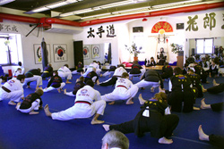 Martial Art Classes in Twin Cities